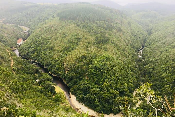 Garden Route 4-Day Private Tour: Knysna, Plettenberg Bay & Oudtshoorn Highlights photo 4