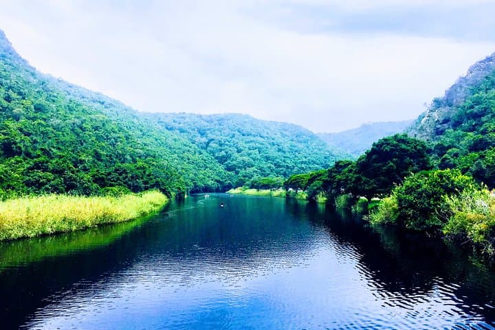 Garden Route in Five Days: Private Guided Adventure from Cape Town to Oudtshoorn photo 4