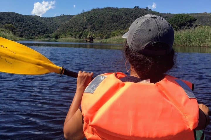 Garden Route 7-Day South Africa Road Trip: Knysna, Tsitsikamma & Wilderness