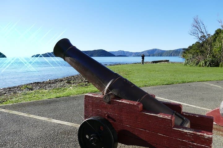 Captain Cook and Dolphin Cruise: Marlborough Sounds Eco Tour to Ship Cove photo 4
