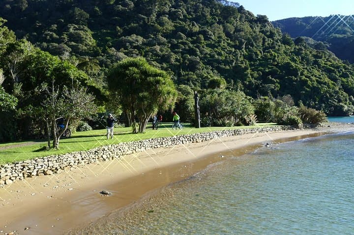 Captain Cook and Dolphin Cruise: Marlborough Sounds Eco Tour to Ship Cove photo 5