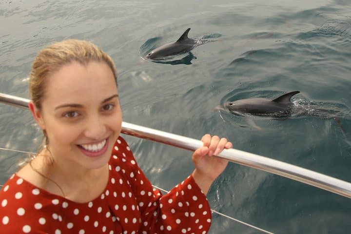 Captain Cook and Dolphin Cruise: Marlborough Sounds Eco Tour to Ship Cove photo 6