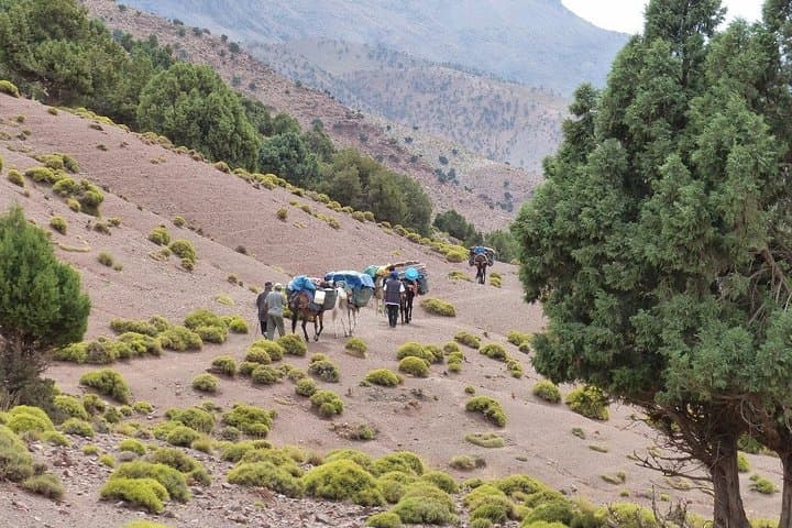 Atlas to Sahara: 5-Day Marrakech Tour with Camel Trek photo 5