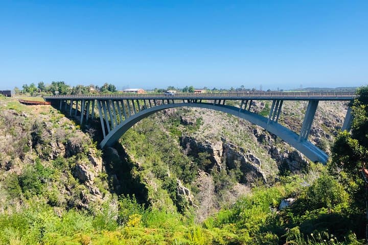 Garden Route 7-Day South Africa Road Trip: Knysna, Tsitsikamma & Wilderness photo 2