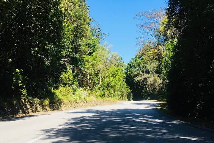 Private 4-Day Garden Route Tour from Cape Town — Knysna, Plettenberg & Oudtshoorn photo 4