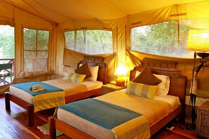 3-Day Masai Mara Wildebeest Migration Safari from Nairobi photo 5