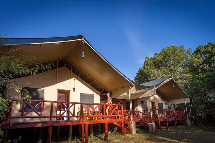 3-Day Masai Mara Wildebeest Migration Safari from Nairobi photo 6