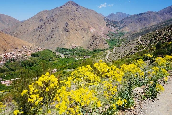 Atlas Mountains Day Hike to Talamrout Summit from Marrakech photo 6