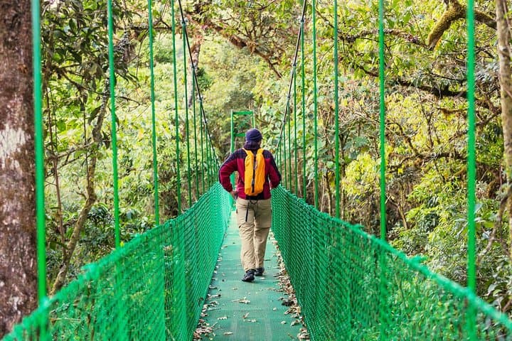 Rainforest Skywalk & Tarcoles River Cruise — Puntarenas Shore Excursion photo 2