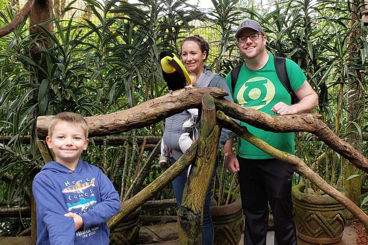 Poás Volcano & La Paz Waterfalls Gardens: Private Day Tour from San José