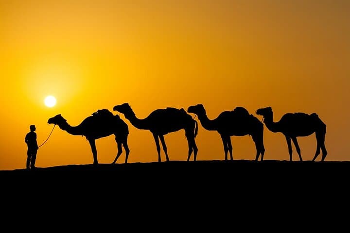 4-Day Marrakech to Merzouga Desert Tour with Camel Trek photo 5