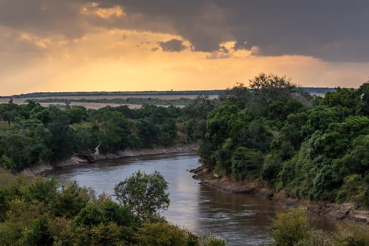 Exploring Kenya’s Wildlife Heartbeat: 7-Day Masai Mara Budget Safari photo 4