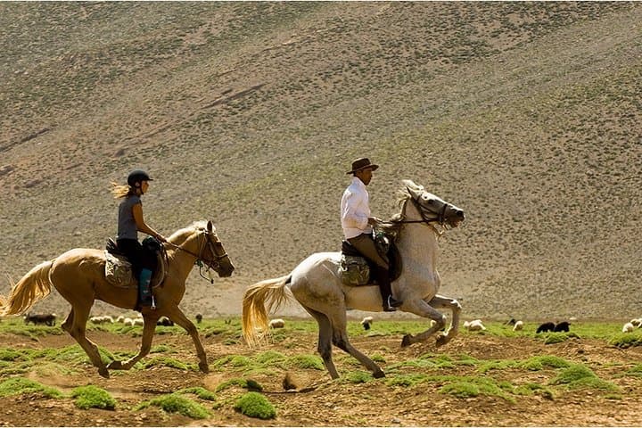 Atlas Mountains Horseback Ride Day Tour from Marrakech