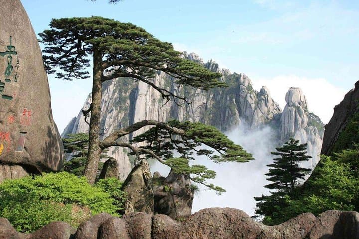 Mount Huangshan to Shanghai: 4-Day Private Tour of Yellow Mountain, Yu Garden & Zhujiajiao