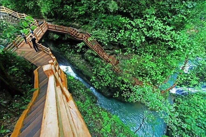 Heishan Valley (Black Valley) Full-Day Private Tour — Chongqing's Southwest Shennongjia photo 2