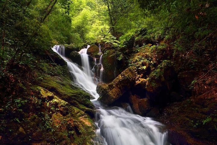 Heishan Valley (Black Valley) Full-Day Private Tour — Chongqing's Southwest Shennongjia photo 4