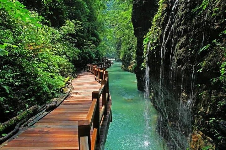 Heishan Valley (Black Valley) Full-Day Private Tour — Chongqing's Southwest Shennongjia photo 5