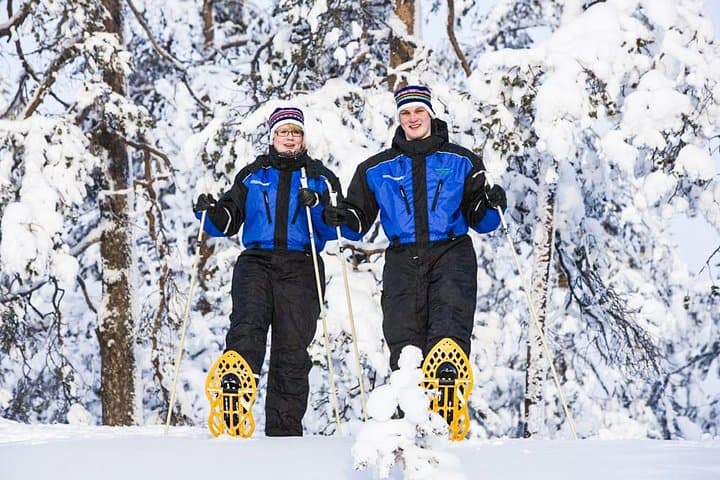 Snowshoe Trip in the Forest: Guided 3-Hour Lapland Adventure from Rovaniemi