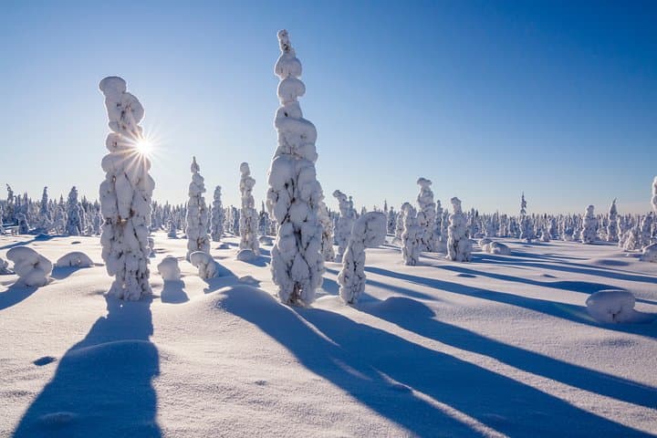 Further to the Wilderness: Rovaniemi Solo Snowmobile Safari photo 5