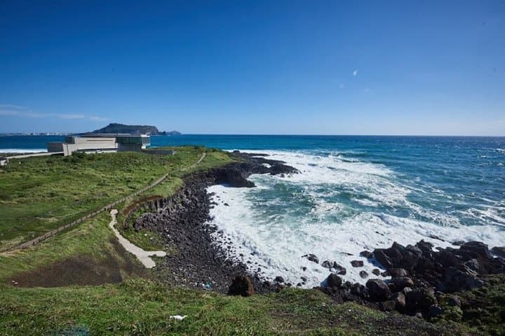 Customizable Full-Day Jeju Private Tour: East, West, South & Mt. Halla Options photo 6