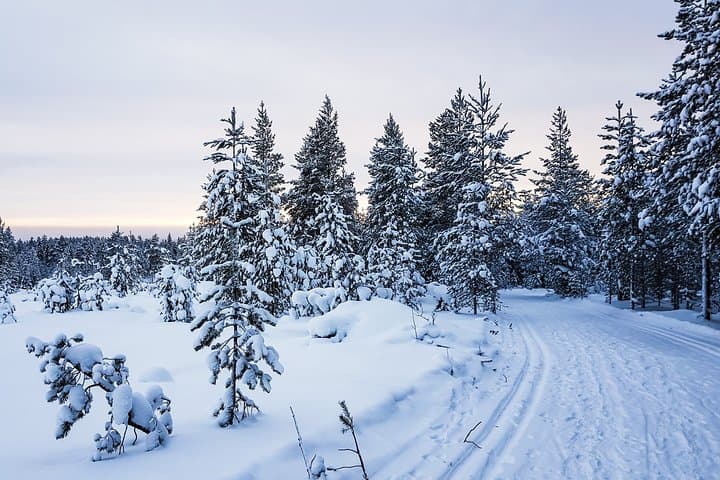 Korouoma Canyon Snowshoe Trip — Frozen Waterfalls & Arctic Valley Hike photo 2