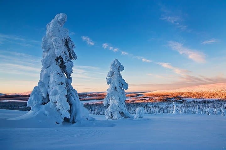 Rovaniemi Snowmobile Driving: Morning Guided Safari in Lapland photo 6