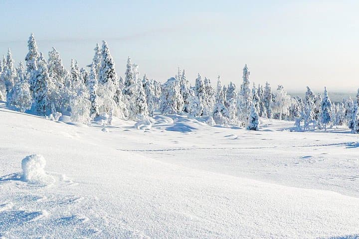 Deep Snow Powder Driving in Rovaniemi — Solo Snowmobile Safari into Lapland Wilderness photo 4