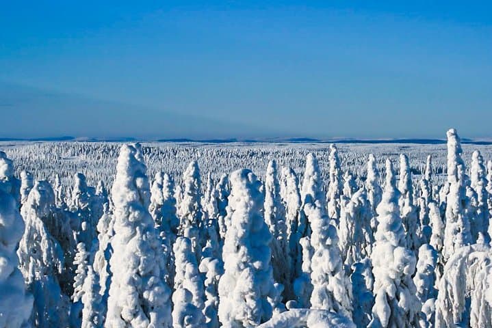 Further to the Wilderness: Rovaniemi Solo Snowmobile Safari photo 6