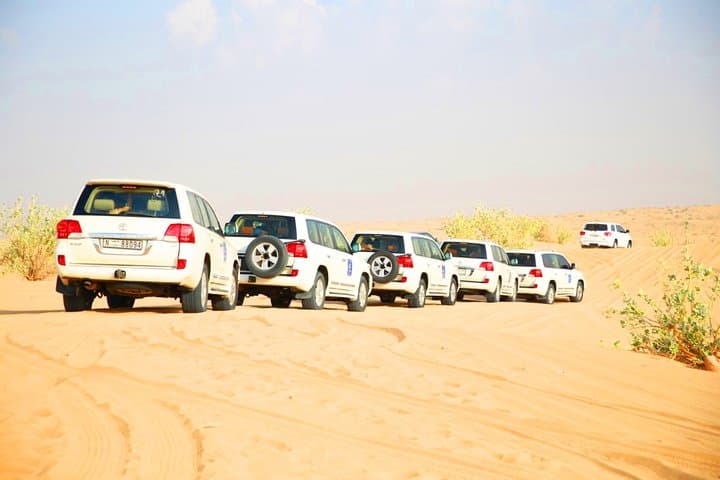 Dubai Red Dunes VIP Desert Safari: 4x4 Dune Bashing, Camel Ride & BBQ photo 2