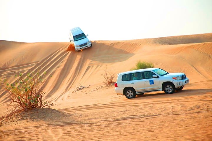 Dubai Red Dunes VIP Desert Safari: 4x4 Dune Bashing, Camel Ride & BBQ