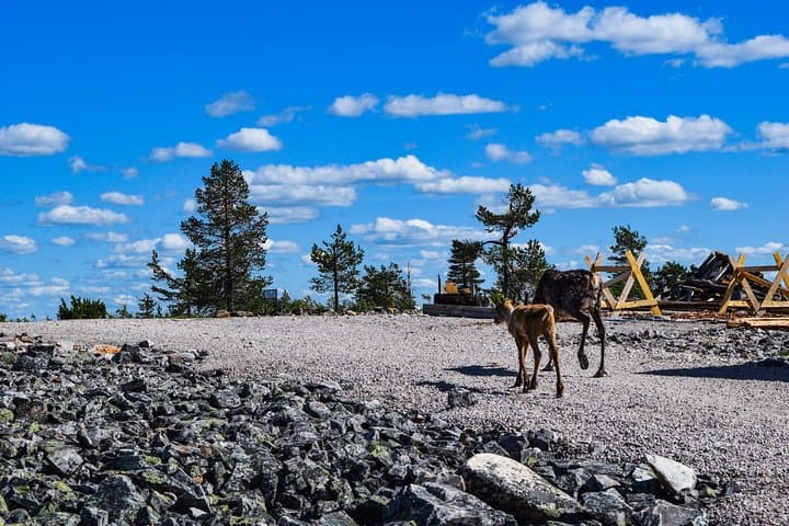 Day trip to Pyhä‑Luosto National Park and Lampivaara Amethyst Mine from Rovaniemi photo 6