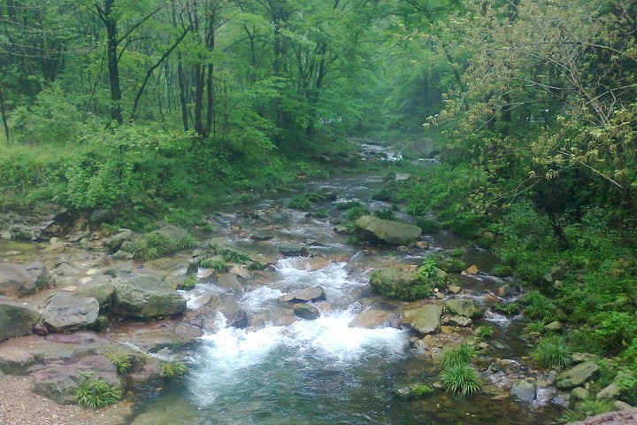 Zhangjiajie 5-Day Private Tour: Tianmen, Glass Bridge & National Forest Park Highlights photo 3
