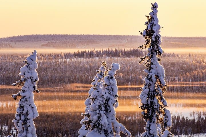 Rovaniemi Snowmobile Driving: Morning Guided Safari in Lapland