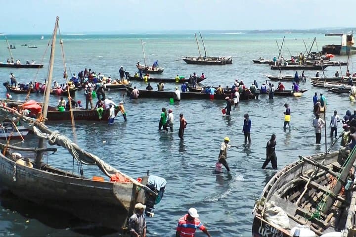 Full-Day Stone Town, Kuza Cave & Salaam Cave Turtle Swim with The Rock Restaurant photo 4