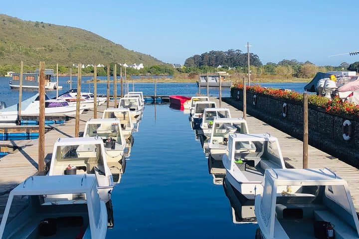 Private 4-Day Garden Route Tour from Cape Town — Knysna, Plettenberg & Oudtshoorn photo 3