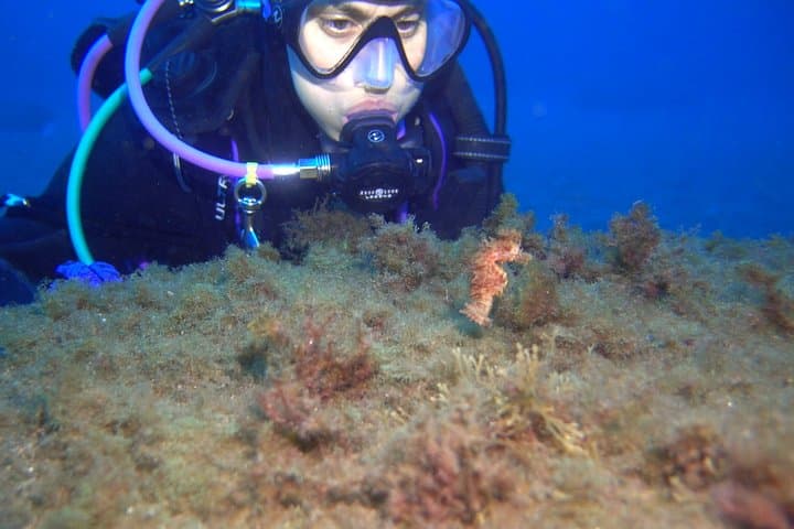 PADI ReActivate Scuba Refresher in Tenerife — One-Day Skill Tune-Up photo 6