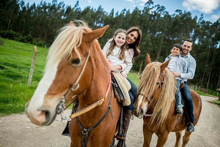 Agadir Quad Biking and Horse Riding — Dunes, Forest & Beach Tour photo 5
