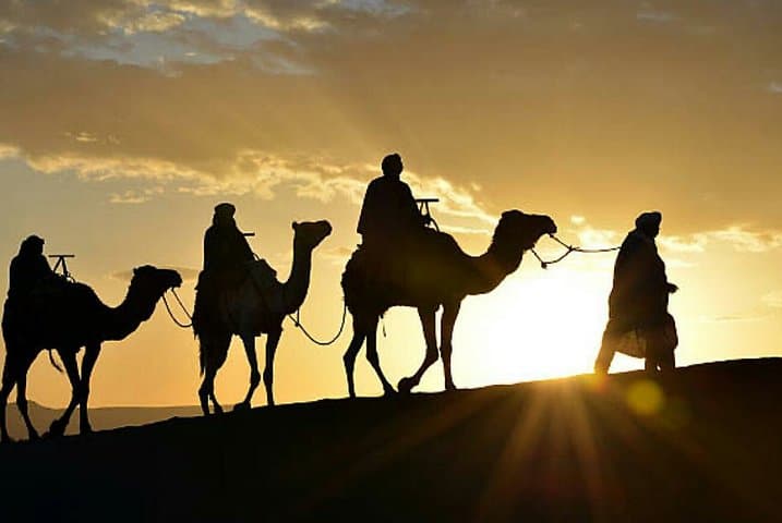 Agadir Camel Ride at the Flamingo River — Sunset Couscous & Barbecue Experience