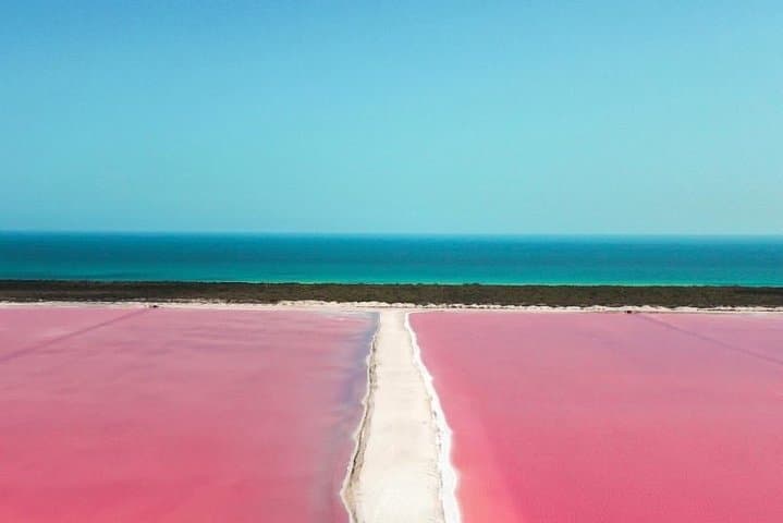Las Coloradas Pink Lake & Río Lagartos Full-Day Tour from Cancun photo 2