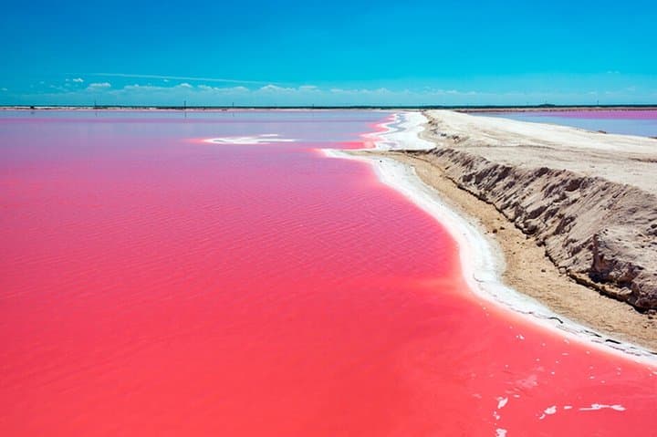 Explore Rio Lagartos & Las Coloradas: Pink Lakes, Flamingos and a Mayan Bath photo 5