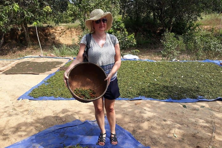 Phu Quoc North by Vintage US Army Jeep: Rainforest Trails, Pepper Farms & Starfish Beach photo 2