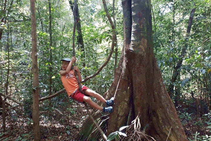 Phu Quoc North by Vintage US Army Jeep: Rainforest Trails, Pepper Farms & Starfish Beach photo 6