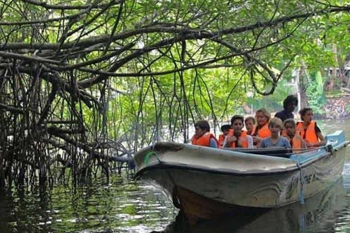 Bentota River Boat Safari: Private Mangrove & Wildlife Cruise from Bentota photo 4