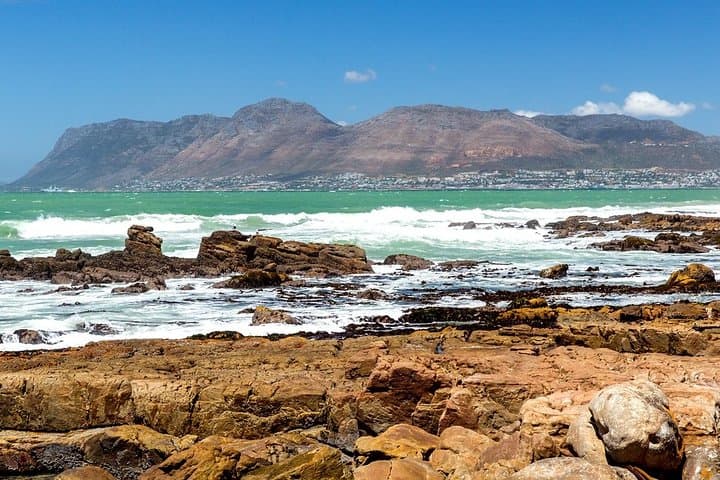 Half-Day Cape Peninsula Private Tour: Cape Point, Penguins & Chapman's Peak