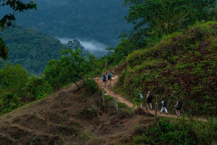 5-Day Private Guided Hike to Colombia's Lost City (Ciudad Perdida) photo 4