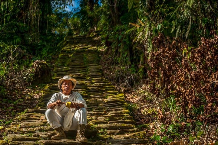5-Day Private Guided Hike to Colombia's Lost City (Ciudad Perdida) photo 5