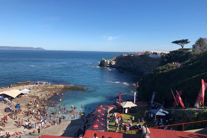 Hermanus Whale Watching Tour with Hotel Pickup — Best Time, What to Expect & Tips photo 4