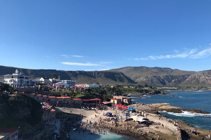Hermanus Whale Watching Tour with Hotel Pickup — Best Time, What to Expect & Tips photo 5