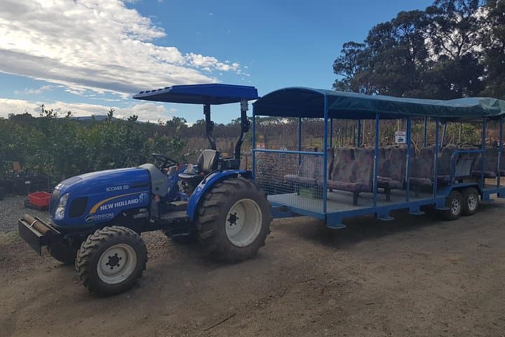 Small-Group Tractor Tour at Rayners Orchard — Yarra Valley Farm Ride from Melbourne photo 4