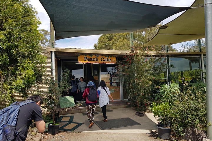 Small-Group Tractor Tour at Rayners Orchard — Yarra Valley Farm Ride from Melbourne photo 5